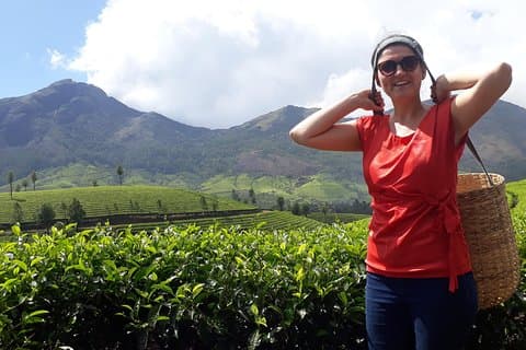 Tea Farm Tourism