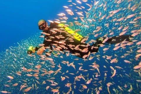 Scubadykning fra Aqaba City eller Talabay (strand)