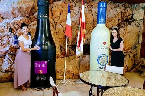 Private Bekaa Valley Wine Tour | 3 Wineries from Beirut