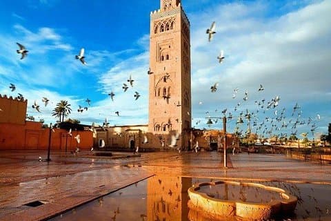Privat transfer från Marrakech till Essaouira