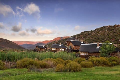 Aquila Wildlife Safari Tour