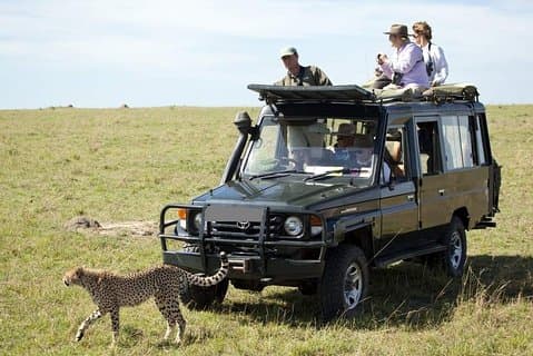 8-tägige Wildtiersafari durch Kenia im 4x4 Land Cruiser Jeep