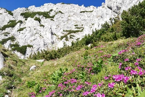 Day Hike PRIVATE - Piatra Craiului National Park