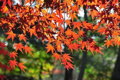 Private Round Trip Transfer to Tianping Mountain from Shanghai