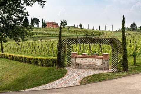 Wine tasting and visit to the Medieval wine cellar in Friuli