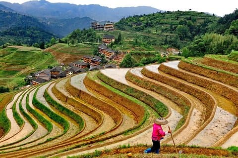 Tour privado de 6 días desde Shanghái a Guilin con boleto aéreo