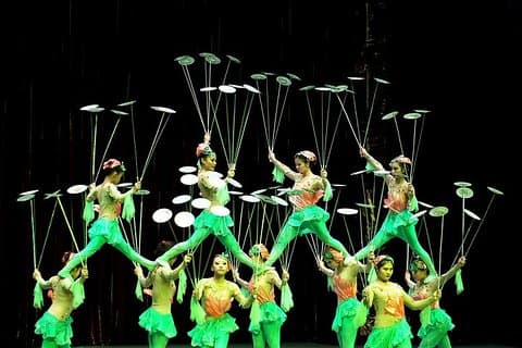 Tour Privado: Show de Acrobacia da China e Tour Noturno de Xangai