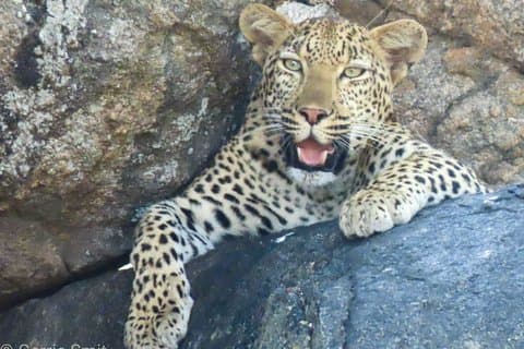 Private 3 night 2 day safari. Kruger National Park from Hazyview.