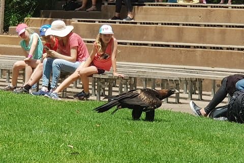 Healesville Sanctuary and Rayners Orchard Tour from Melbourne