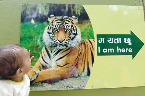 Privat dagstur til Central Zoo i Jawalakhel, Kathmandu