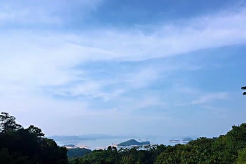Excursão privada de um dia ao Lago Wanlv (Wanlju) saindo de Guangzhou