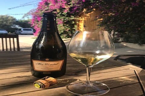 Privata rundturer i Sitges + vingårdar i Penedés