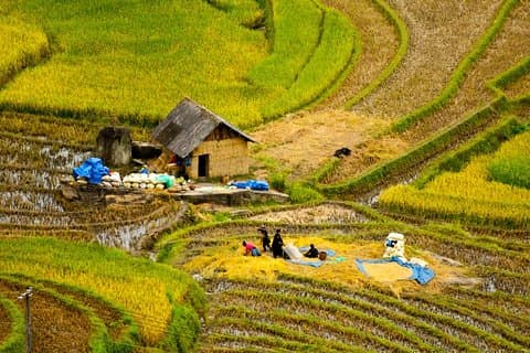 Sapa Easy trekking pueblos 2 días / 1 noche viaje: comidas, guía turístico, hotel de 3 estrellas