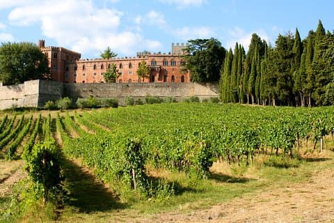 Excursão terrestre no porto de Livorno: Almoço e degustação de vinhos em Siena San Gimignano