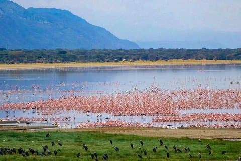 6 jours de safari en camping économique en Tanzanie