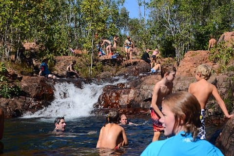Litchfield e Jumping Crocodiles Full Day Trip de Darwin