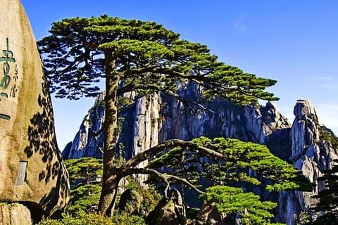 Tour privato di 3 giorni di Huangshan: Yellow Mountain, Chengkan Village e Tunxi Street