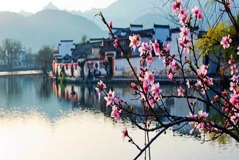 Tour privato di Hongcun e Xidi Ancient Village da Huangshan