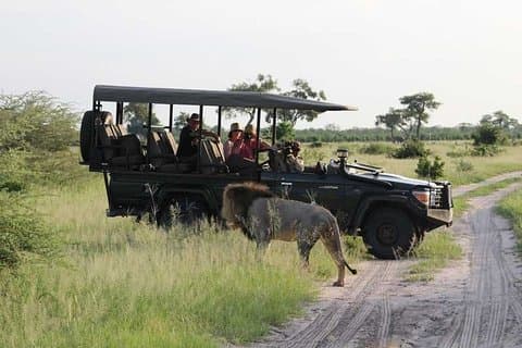 Safari de 2 jours au parc Chobe avec nuit aux chutes Victoria