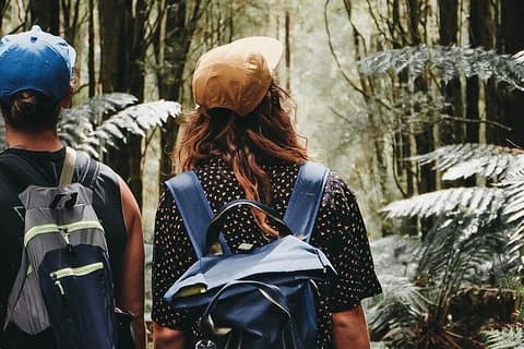 Kleine eco-tour (8 personen) - Yarra Valley & Dandenong Ranges-wandeling