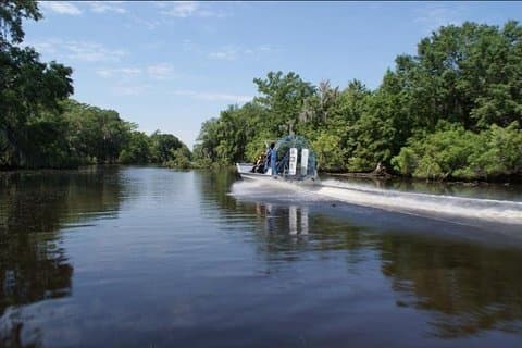 Visite des marais en hydroglisseur en petit groupe avec pick-up au centre-ville de La Nouvelle-Orléans