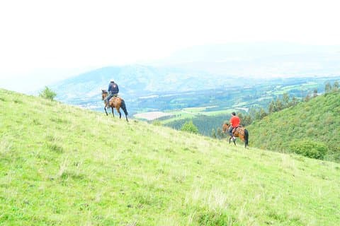 Gita di un giorno privata a Roses & Horses Ride da Quito
