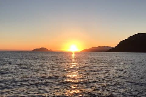 Tromsø: Summer Evening Cruise with Activities