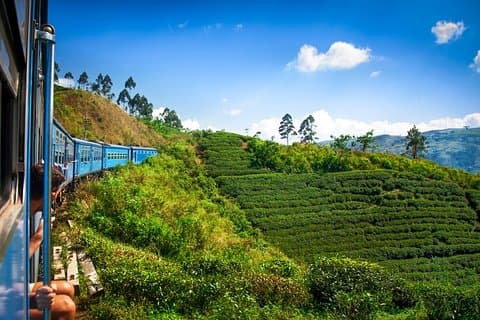 Nuwara Eliya från Kandy med tåg