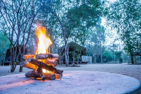 Sabi Sands Reserve Express Safari 5 jours / 4 nuits (confort)