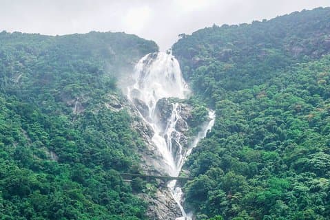 Private Dudhsagar-watervallen en kruidenplantage met lunch vanuit de haven van Mormugao