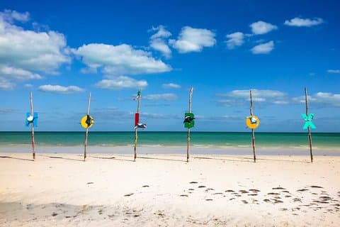 Holbox Tour i Karibiska havet! Rundtransport från Cancun