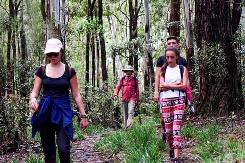 Trekking naar Heeloya Village vanuit Kandy