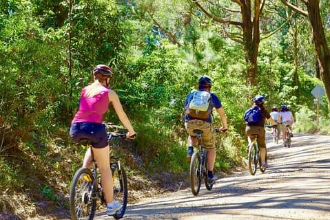 Tour ciclistico Urban Jungle Trail da Colombo