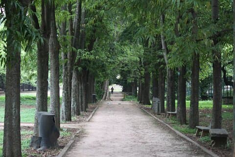 Cubbon Park Heritage Walk: een zelfgeleide tour door de unieke geschiedenis van Bangalore