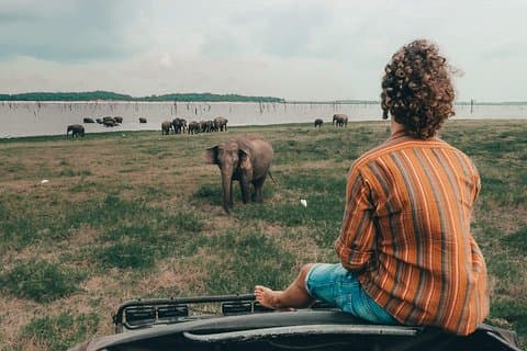 Colombo til Trincomalee Shuttle & Safari Drive
