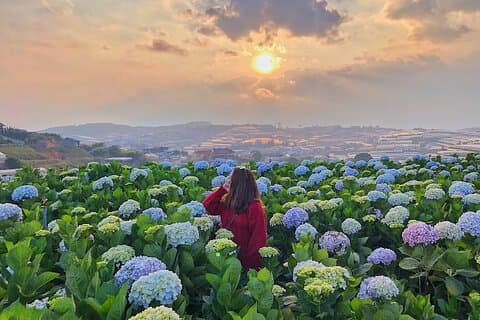 Excursión de día completo a los puntos destacados de Dalat