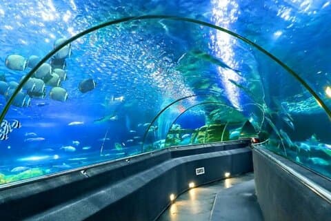 ニャチャン一日文化旅行