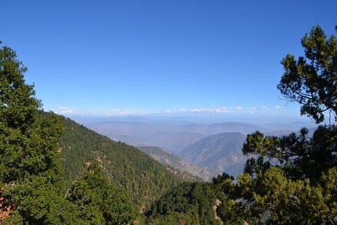 Nainital Nature Trekking Experience (4 Hours guided experience)