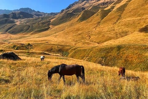Von Tiflis: Kazbegi Ananuri Gudauri und Trusso Valley mit dem Geländewagen