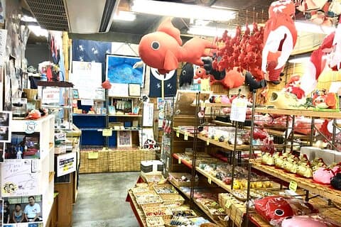 Einzigartiges ganztägiges Goldfisch-Erlebnis in Yamato-Koriyama