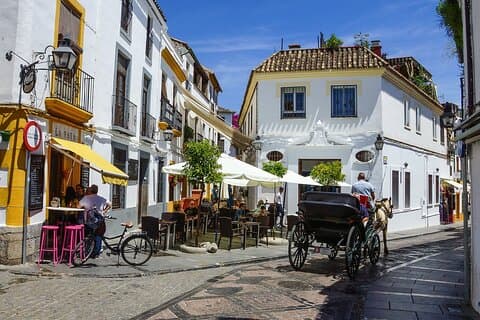 Private Day Trip to Cordoba from Seville with a local