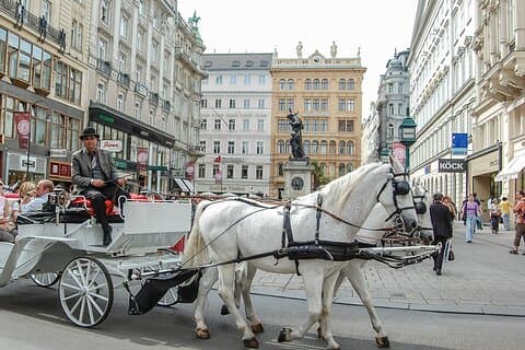 Zwischenstopp in Wien eine private Tour mit einem Einheimischen: Beste Highlights von Wien