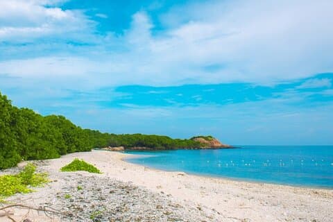 Excursão à praia de Trincomalee e Nilaveli saindo de Dambulla