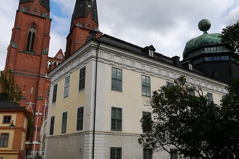 Recorrido a pie de 3 horas por la ciudad de Uppsala, catedral, edificios universitarios, etc.