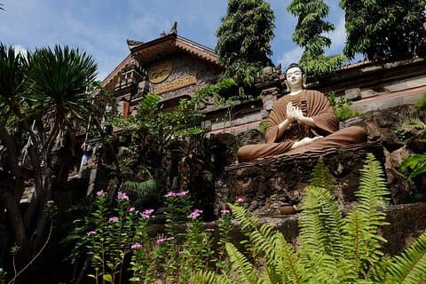Amazing Full-Day Northern Bali Trek and Hot Springs Tour