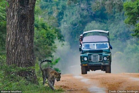 Sri Lanka: See & Experience it ALL in 10 Days, 1st Class Custom Tours