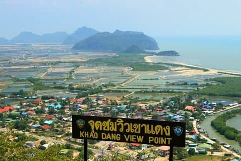 Mangrove Forest Hike and River Boat Ride with Private Guide from Hua Hin