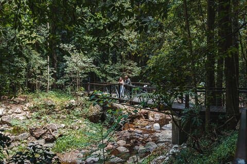 Restauranter i nærheden af Springbrook and Tamborine Rainforest Tour Incl Natural Bridge and Glow Worm Cave