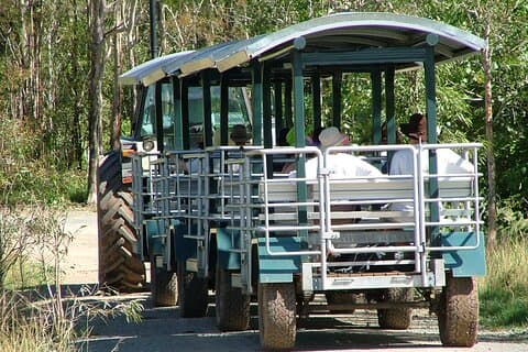 Whitsunday Crocodile Safari