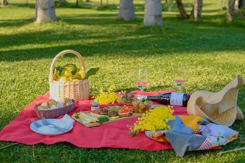 Picknick på gräsmattan - aromatisk trädgård och vingård